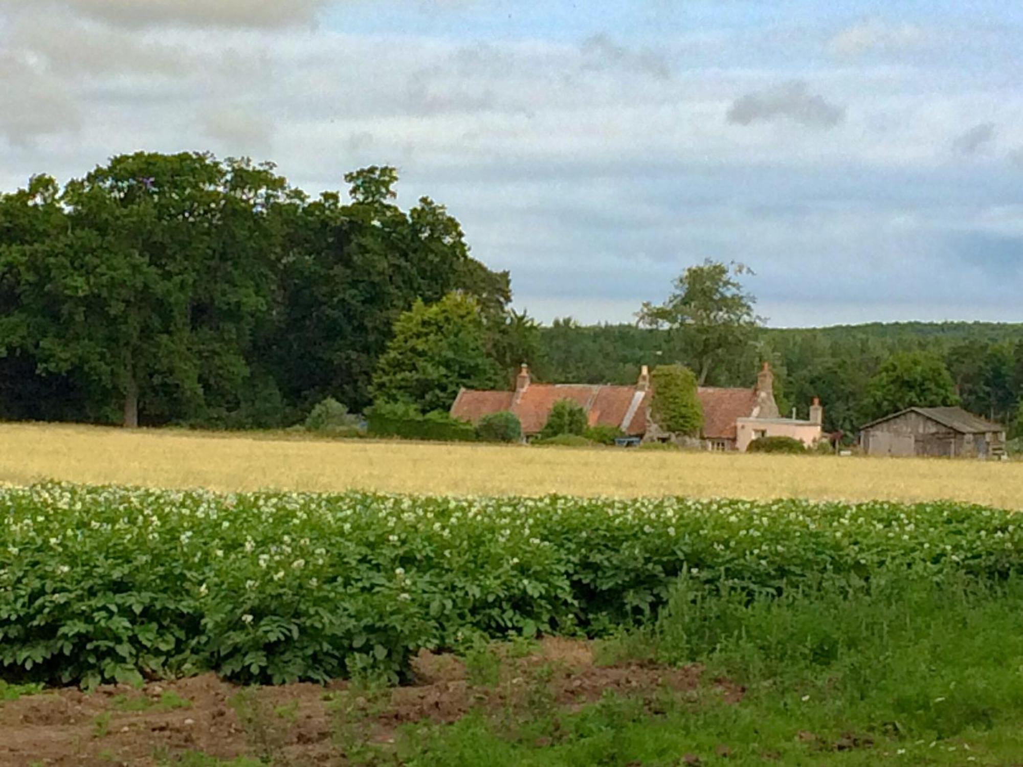 Whitekirk Cauldside West Cottage מראה חיצוני תמונה